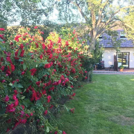 Ferienhof Wolf Apartament *